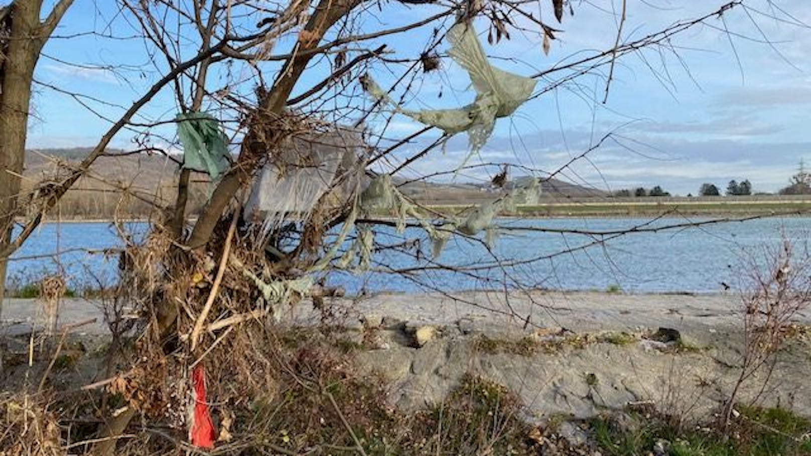 Das Hochwasser spülte Unmengen Müll ans Ufer der Pionierinsel in Klosterneuburg. Auch Wochen nach der Naturkatastrophe ist das Ufer noch gesäumt von Schrott und Plastik.