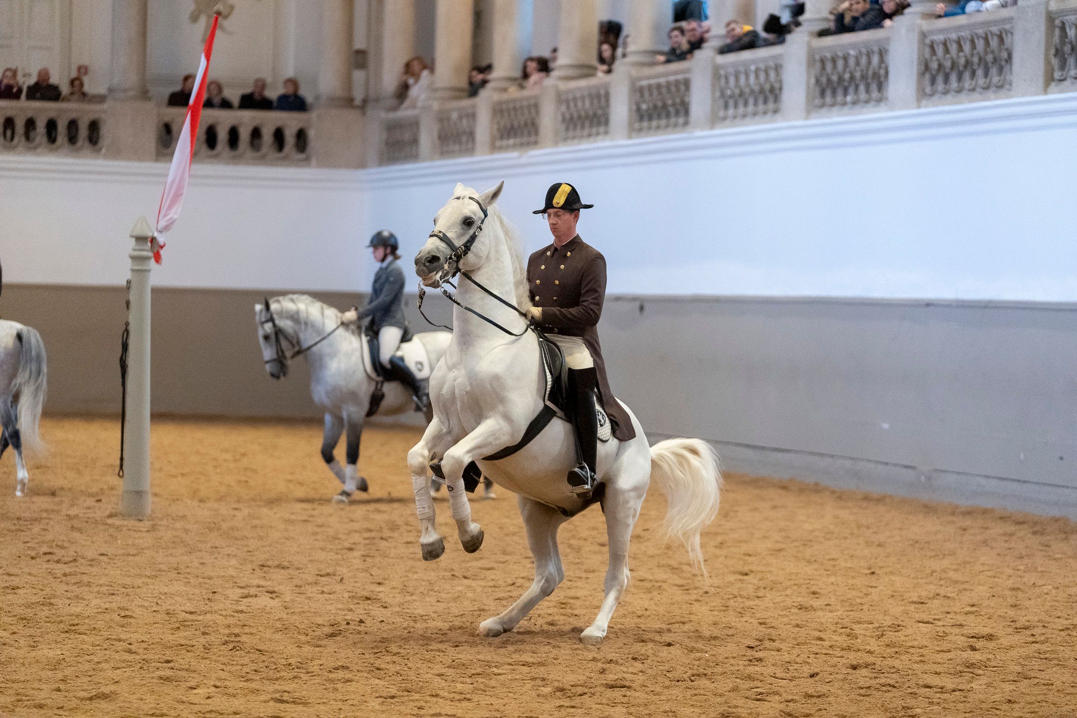Es sind neue Vorwürfe gegen die Spanische Hofreitschule aufgetaucht. Symbolbild.
