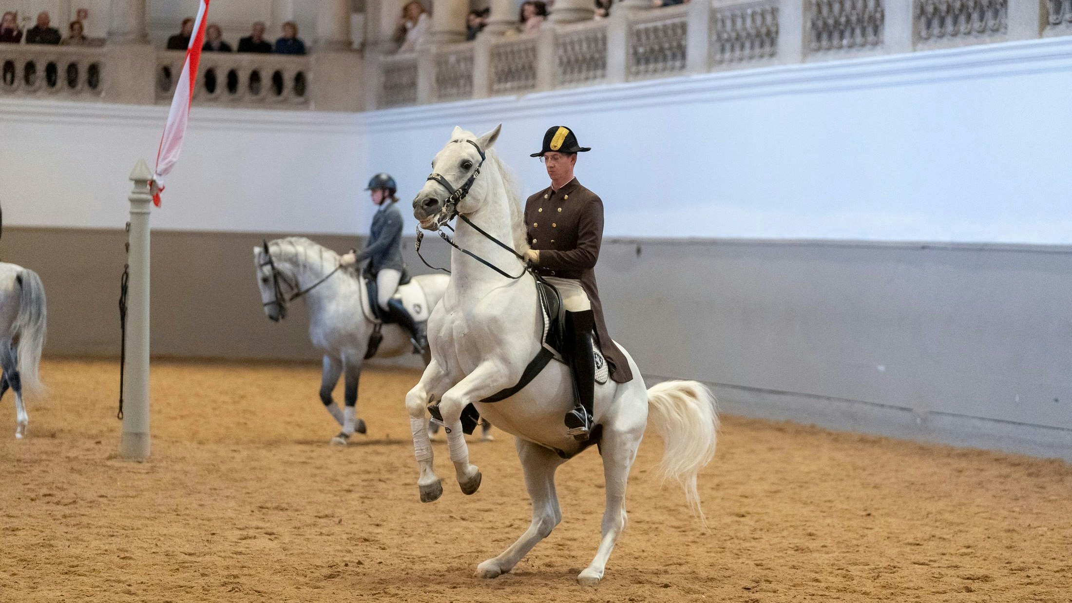 Heute.at - Nach Tierquälerei-Verdacht – Minister spricht Machtwort