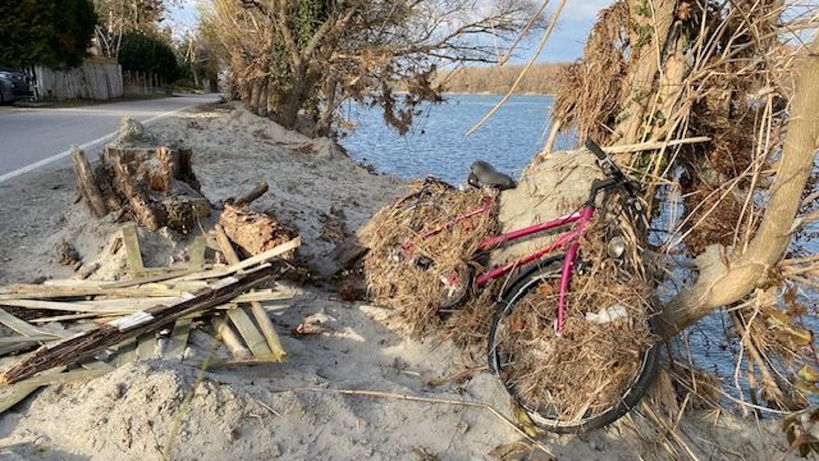 Das Hochwasser spülte Unmengen Müll ans Ufer der Pionierinsel in Klosterneuburg. Auch Wochen nach der Naturkatastrophe ist das Ufer noch gesäumt von Schrott und Plastik.