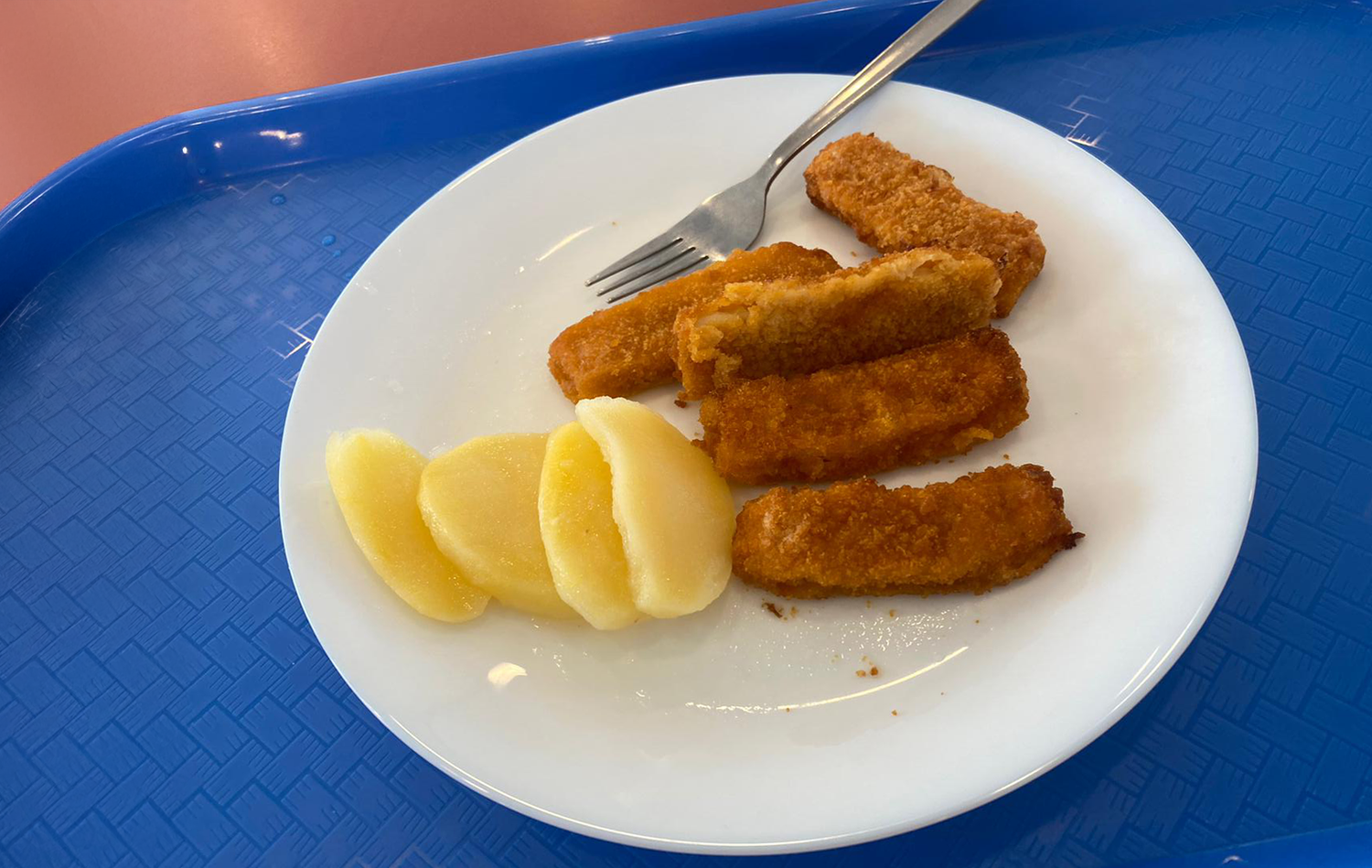 Maria H. bezahlt zu viel für das Schulessen ihres Sohnes, der ein Gymnasium im 21. Bezirk besucht. Diese lieblosen Fischstäbchen kosteten 5,50 Euro.
