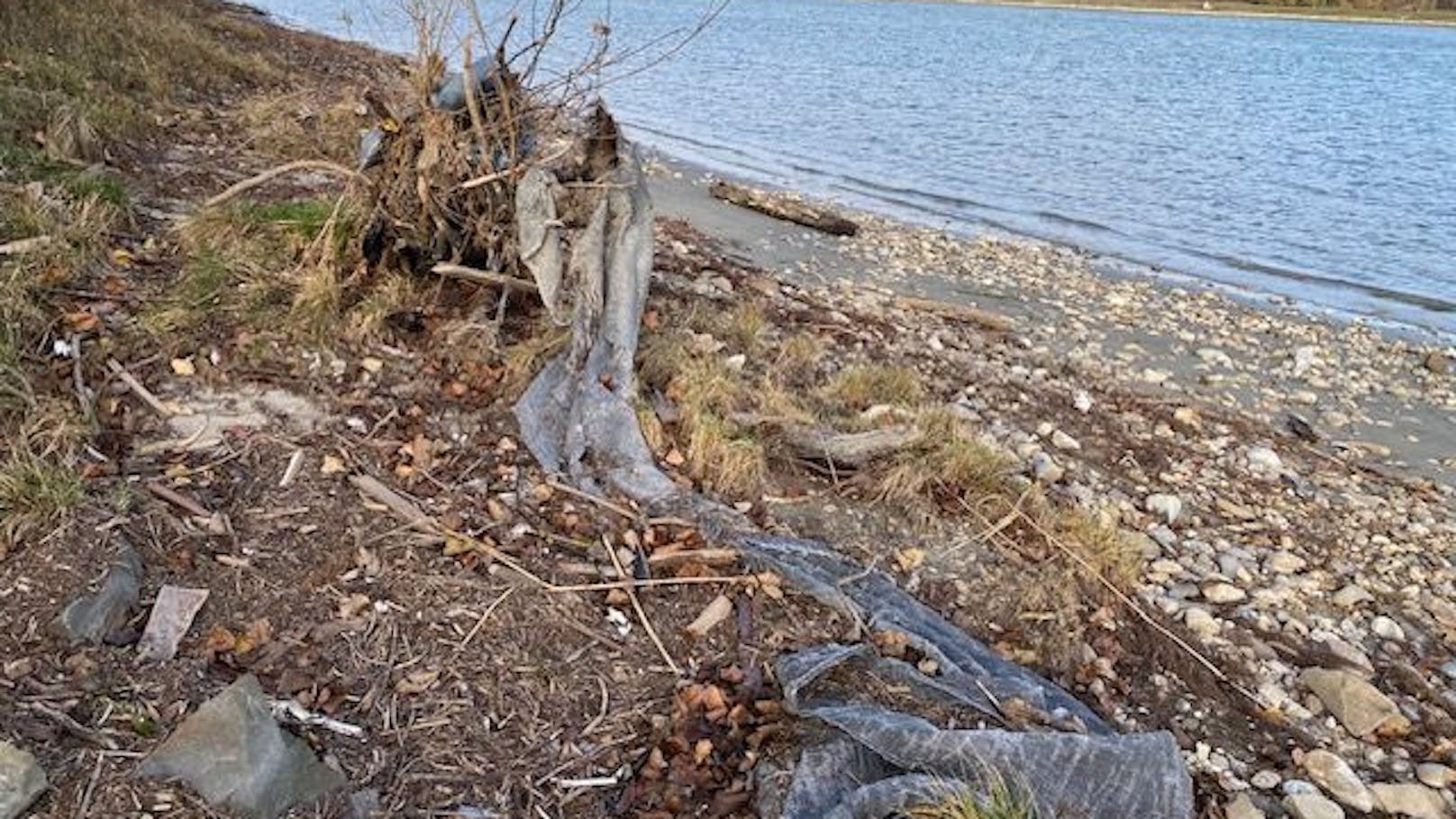 Das Hochwasser spülte Unmengen Müll ans Ufer der Pionierinsel in Klosterneuburg. Auch Wochen nach der Naturkatastrophe ist das Ufer noch gesäumt von Schrott und Plastik.