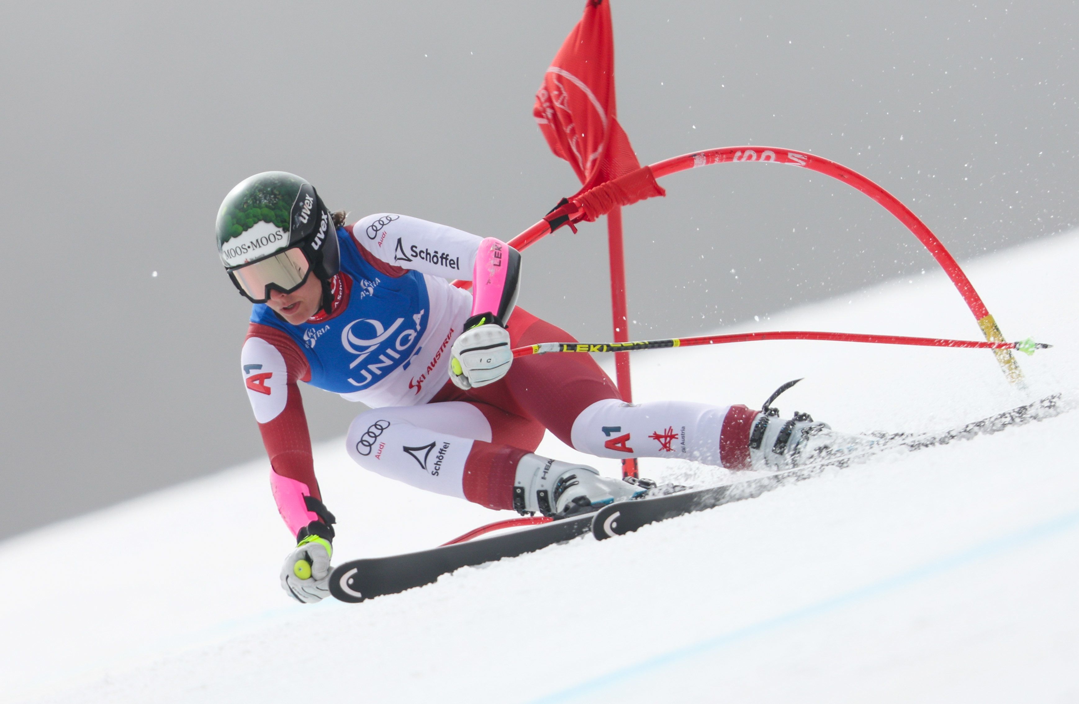 Elisabeth Kappaurerer