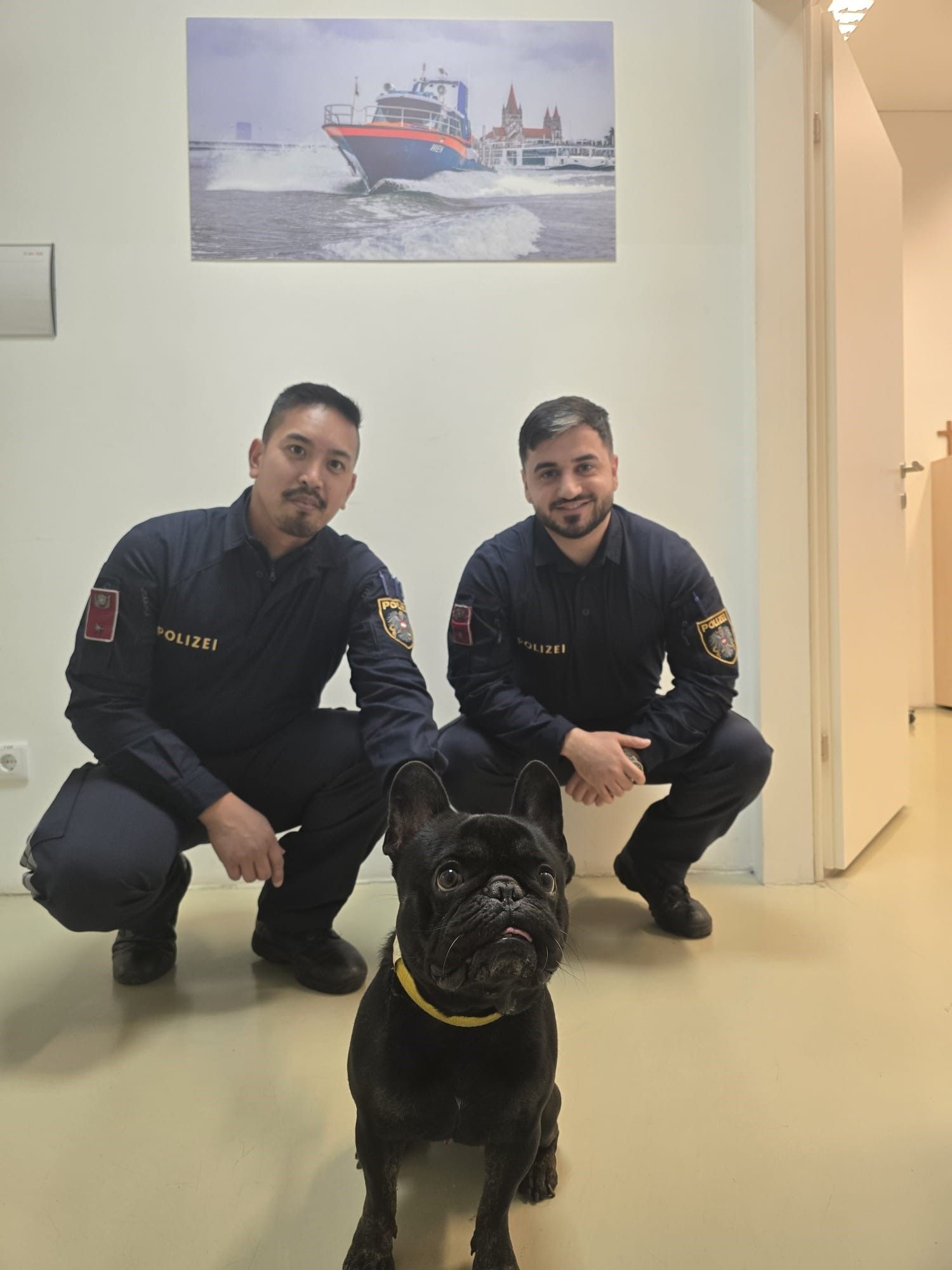 Polizisten retteten Bulldogge in der Wiener Donaustadt.