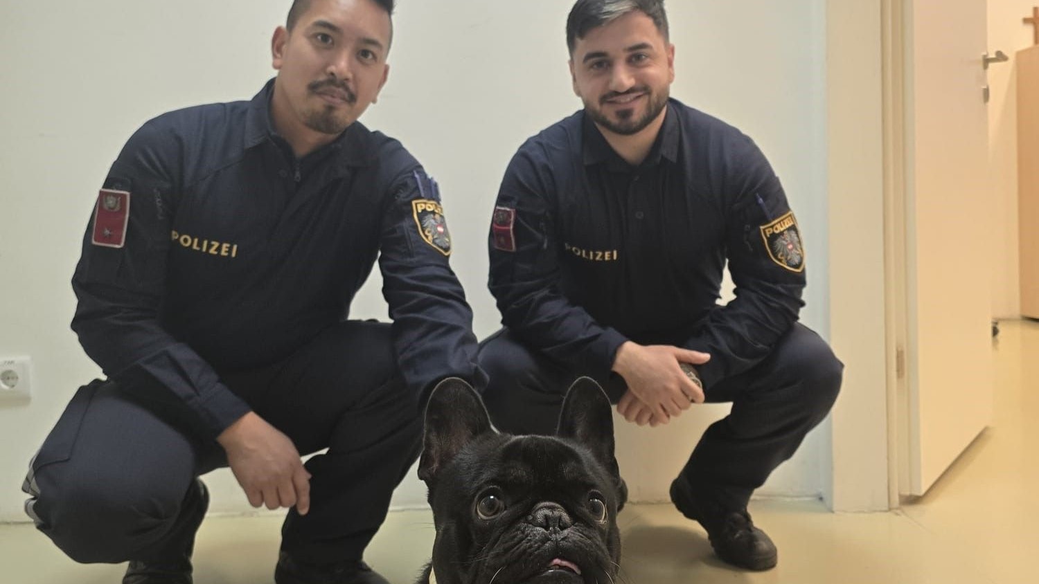Polizisten retteten Bulldogge in der Wiener Donaustadt.