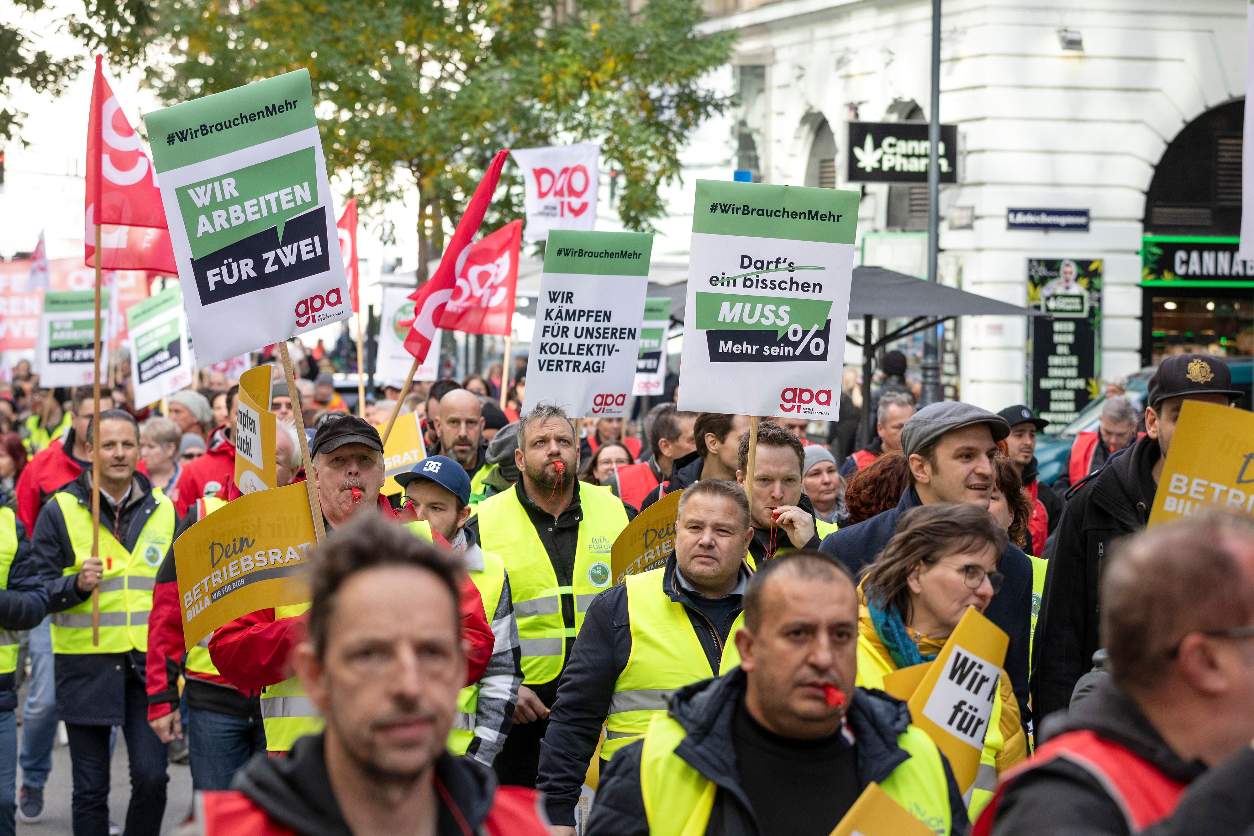 Am Dienstag, 26. November, findet eine Groß-Demo in Wien statt – es kommt zu Staus.