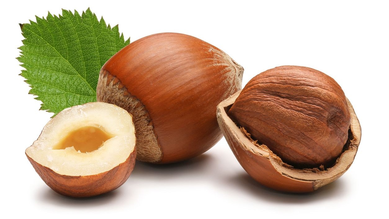 Cracked Hazelnut on white backgroud