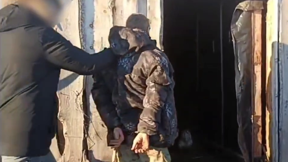 Heute.at - 17-Jährige von Schweinen getötet – neue Wende im Fall