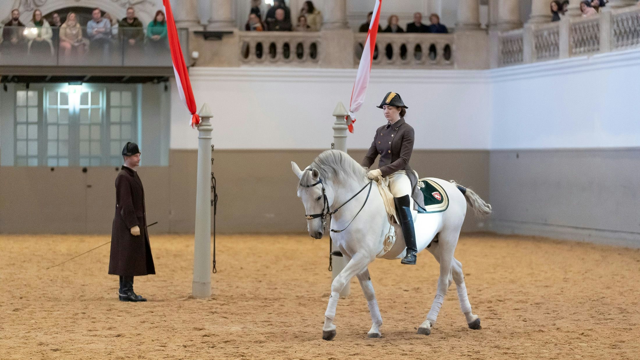 Heute.at - Tierquälerei-Verdacht in der Spanischen Hofreitschule