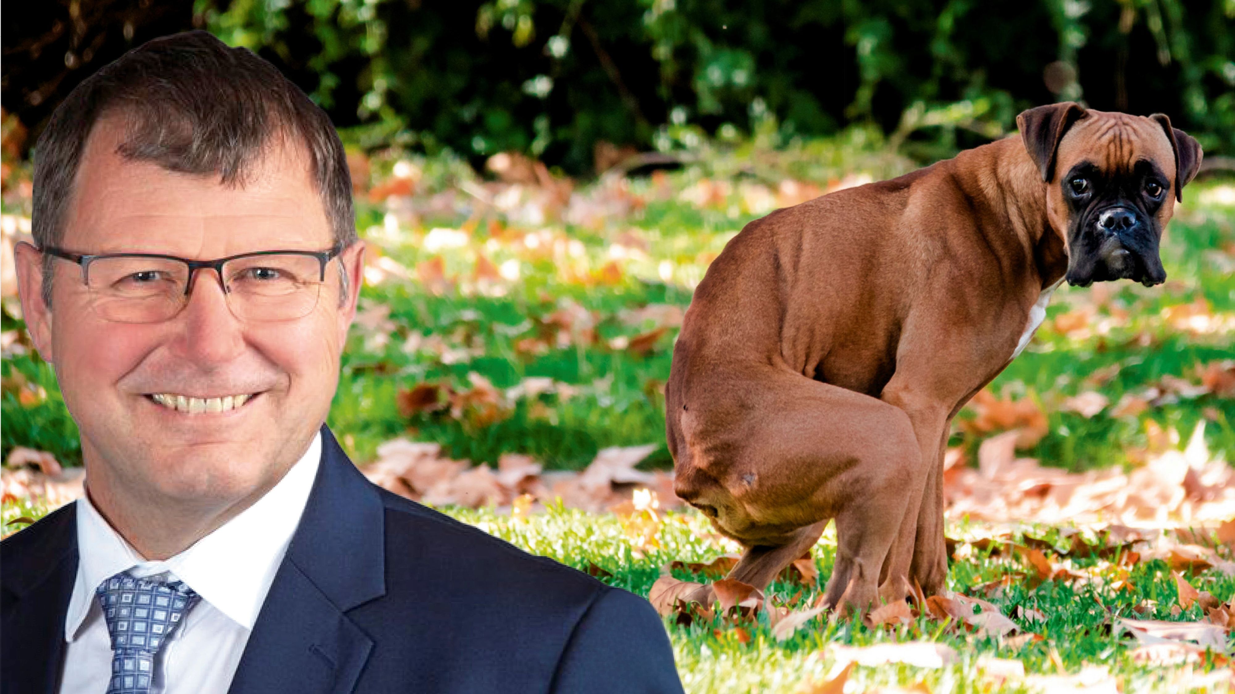 In Steyregg bei Linz wurde ein Hundeverbot beschlossen. Im Bild: Bürgermeister Gerhard Hintringer