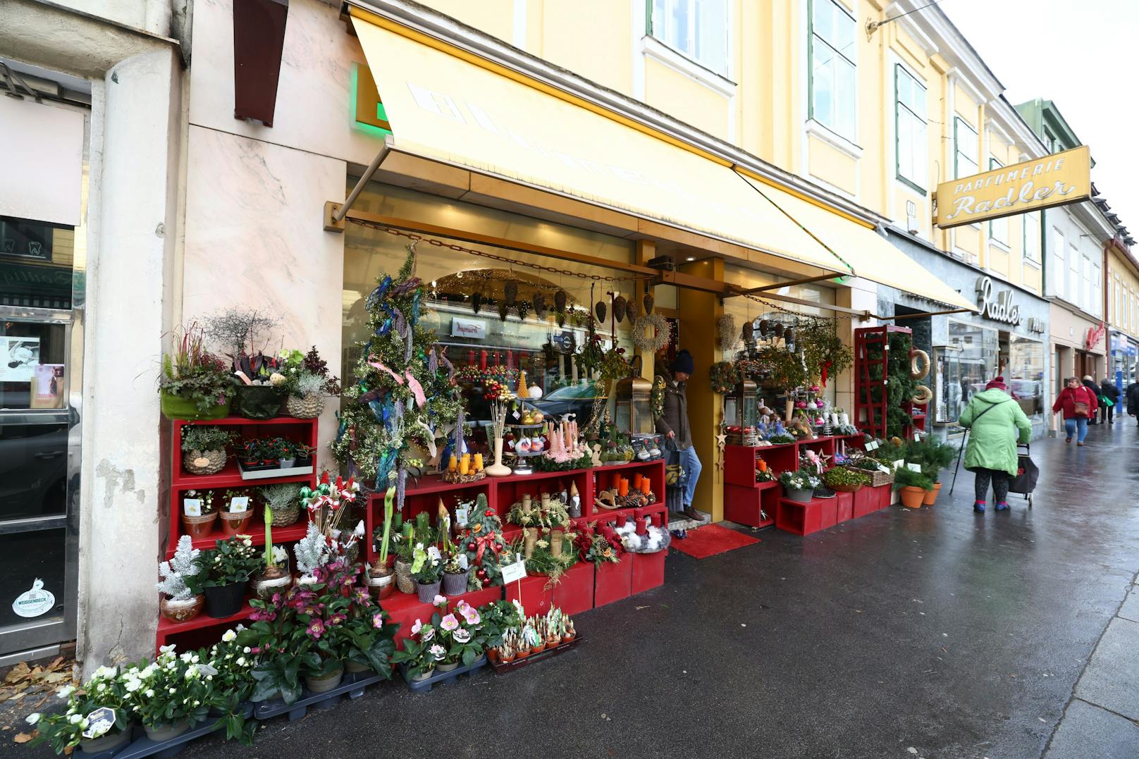 Das Blumenhaus Hietzing bietet allerlei Adventkränze an.