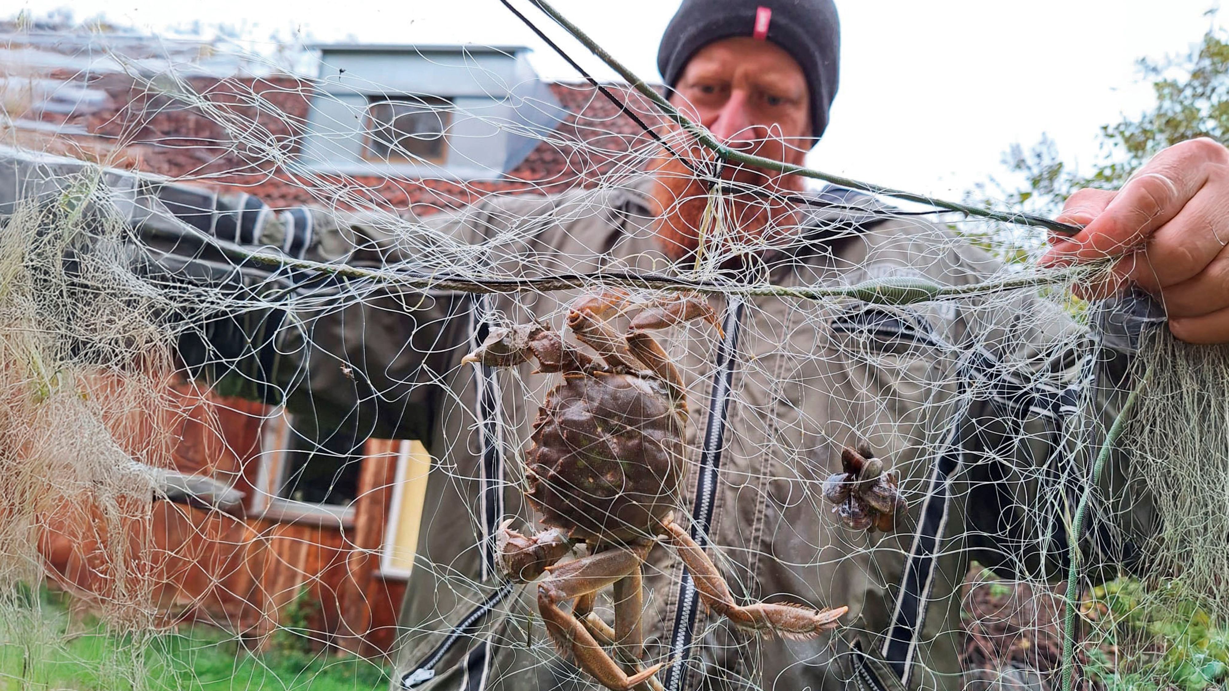 Der letzte Linzer Donaufischer, Franz Wiesmayr, zog die chinesische Wollhandkrabbe an Land.
