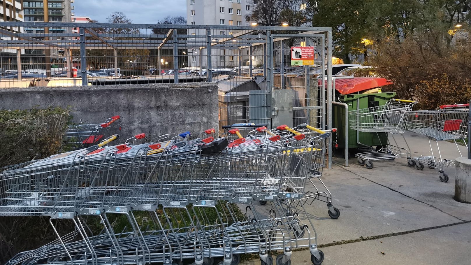 Wagerl-Wahnsinn! "Bei uns stehen zehn oder mehr herum"