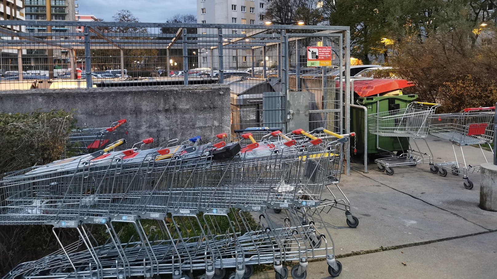 Wagerl-Wahnsinn! "Bei uns stehen zehn oder mehr herum"