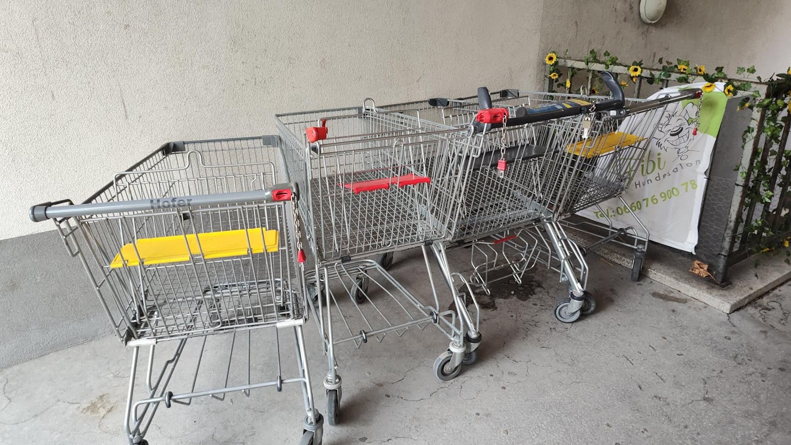 Vor dem Einbruch winterlicher Temperaturen nehmen Supermarkt-Kunden vermehrt Einkaufswagen mit – uns bringen sie nicht mehr zurück!