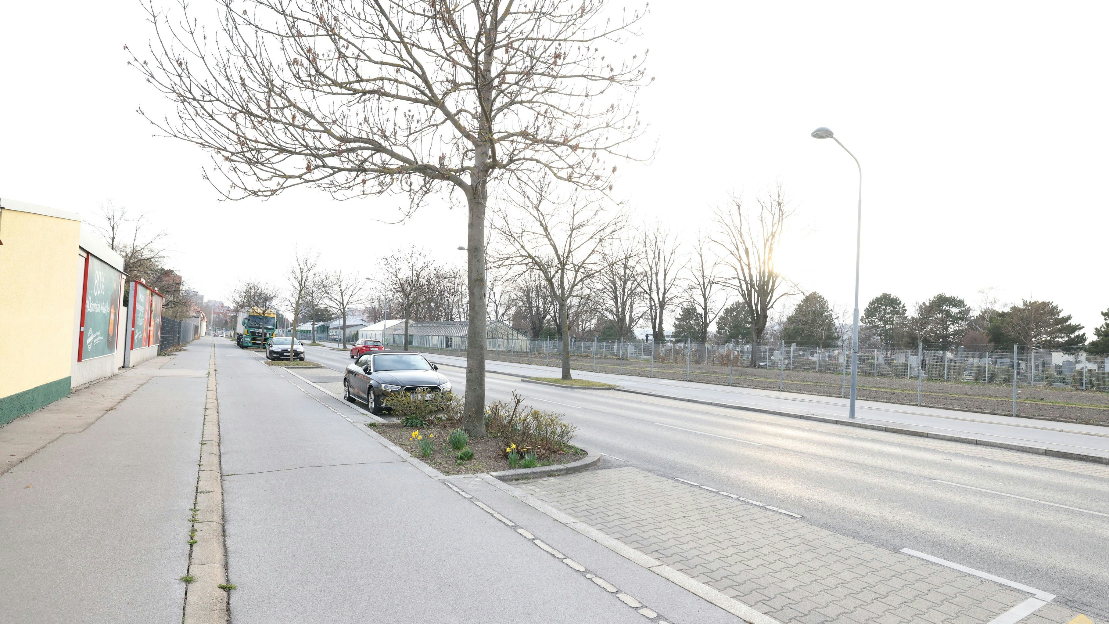 Heute.at - Wiener aufgepasst! 50.000 Parkpickerl laufen bald ab