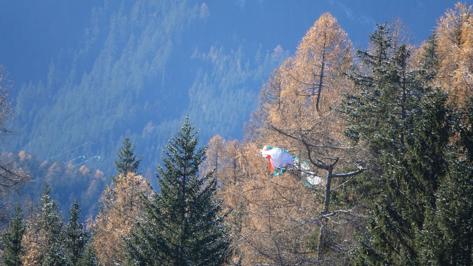 Plötzlich hing Frau in 25 Meter Höhe in Baumkrone fest