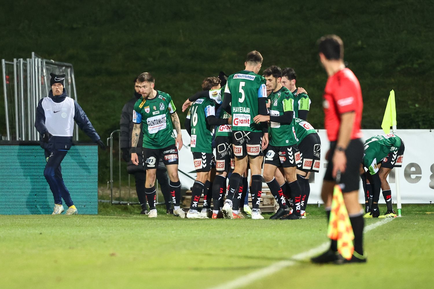 Ried jubelt in Wien-Döbling