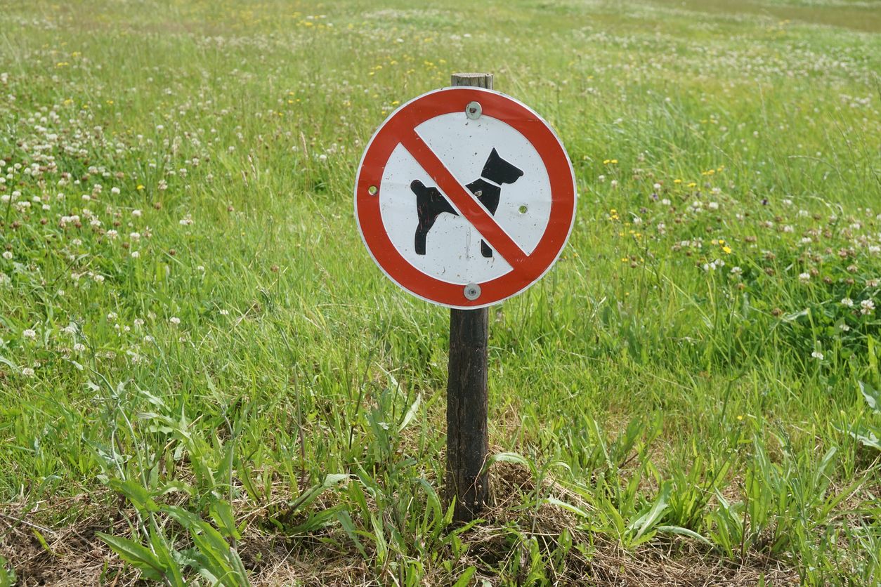 Ein Teil der oberösterreichischen Gemeinde Steyregg wurde zur hundefreien Zone erklärt.