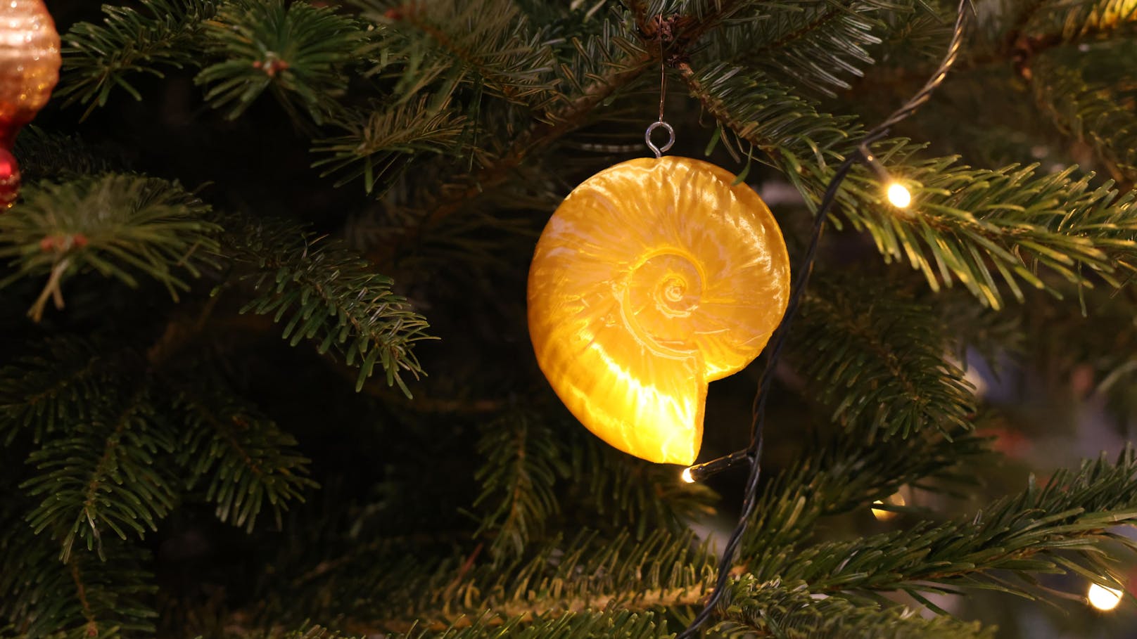 Schnecke am Baum - der perfekte Hingucker