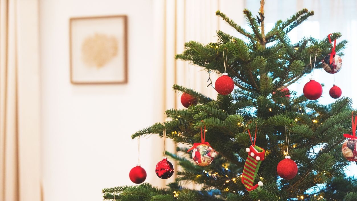 Heute.at - Christbaumaufstellen – diese Frage spaltet Generationen