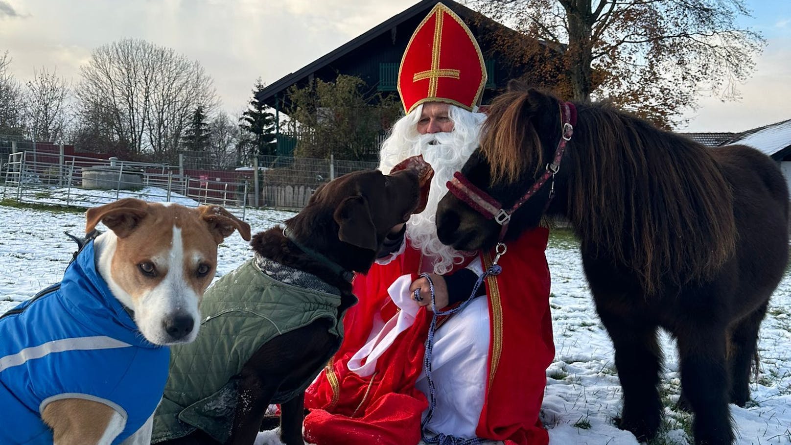 Der Nikolaus kommt heuer schon früher zu den Bravsten