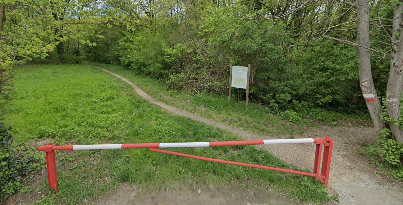 In einem Waldgebiet in einem Hietzinger Naherholungsgebiet soll die Tat geschehen sein.