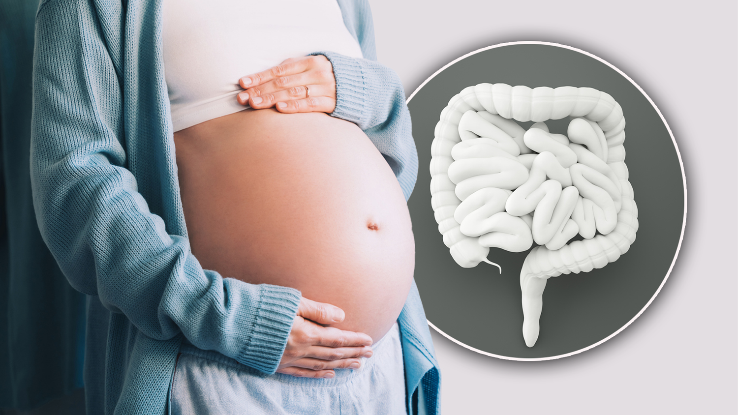 Die Veränderungen des Darms sind&nbsp;für die Ernährung des Babys wichtig.