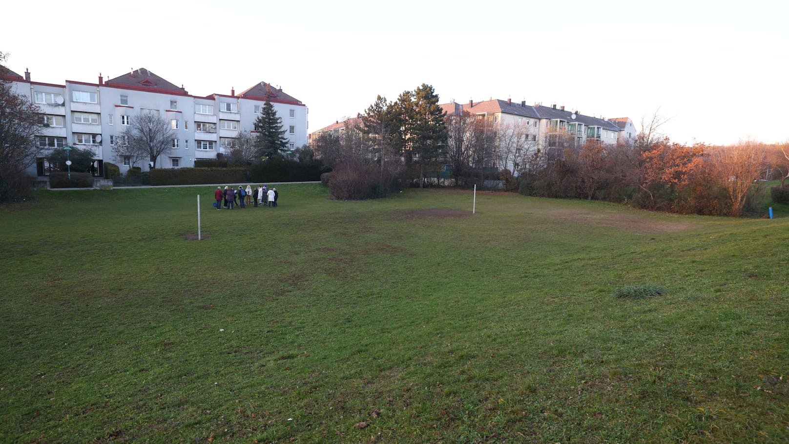 Die Schule soll auf dem Areal einer naturbelassenen Wiese gebaut werden.