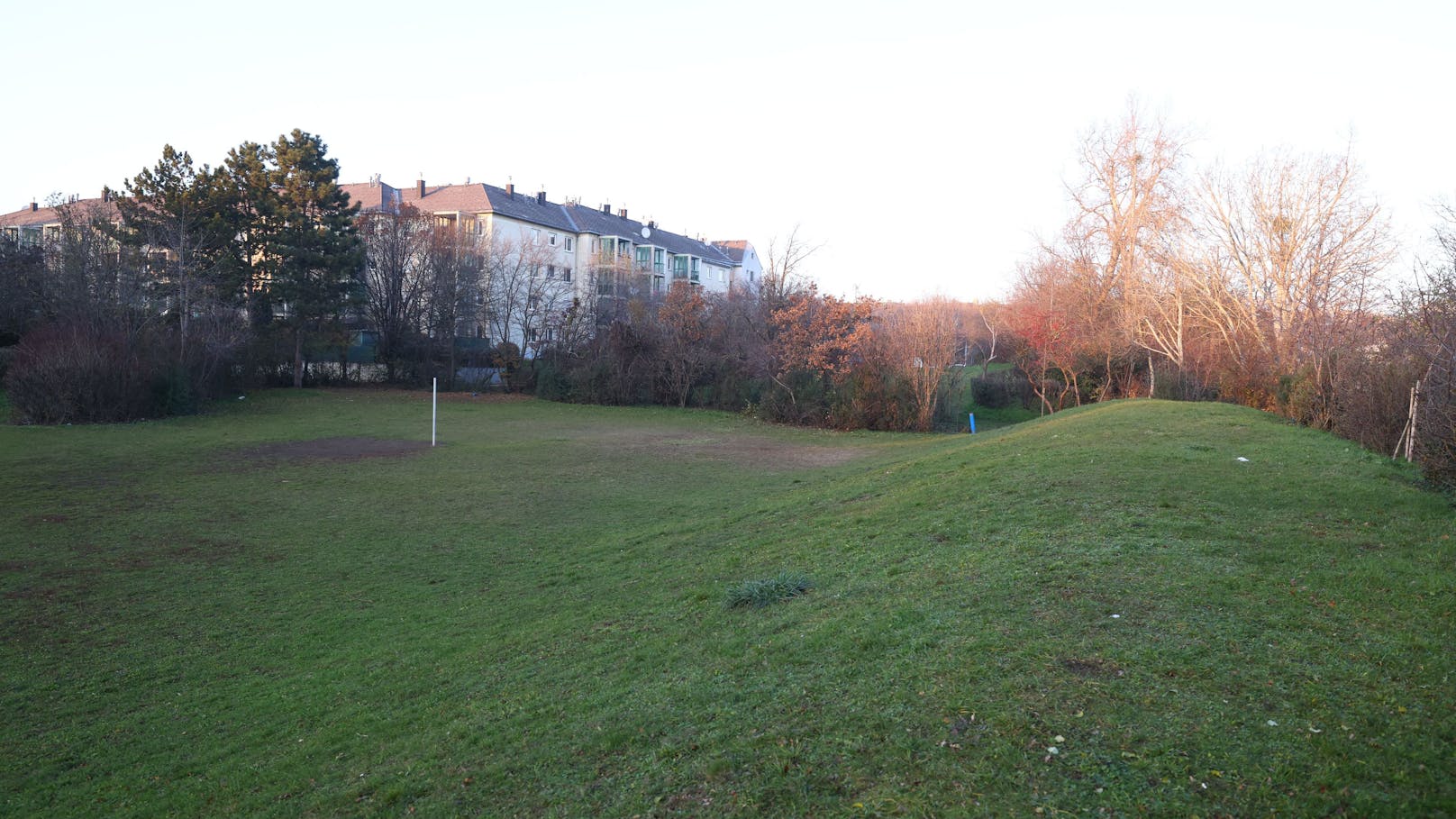 Die neue Volksschule wird sich gegenüber des Gemeindebaus befinden.