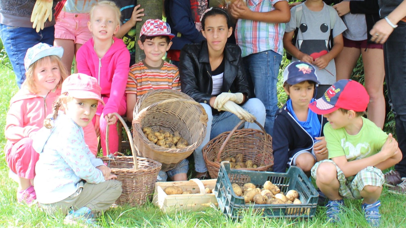 Gemeinsame Erdapfelernte im Rahmen einer vom Waldviertler Wohlviertel organisierten Sommerkinderbetreuung.