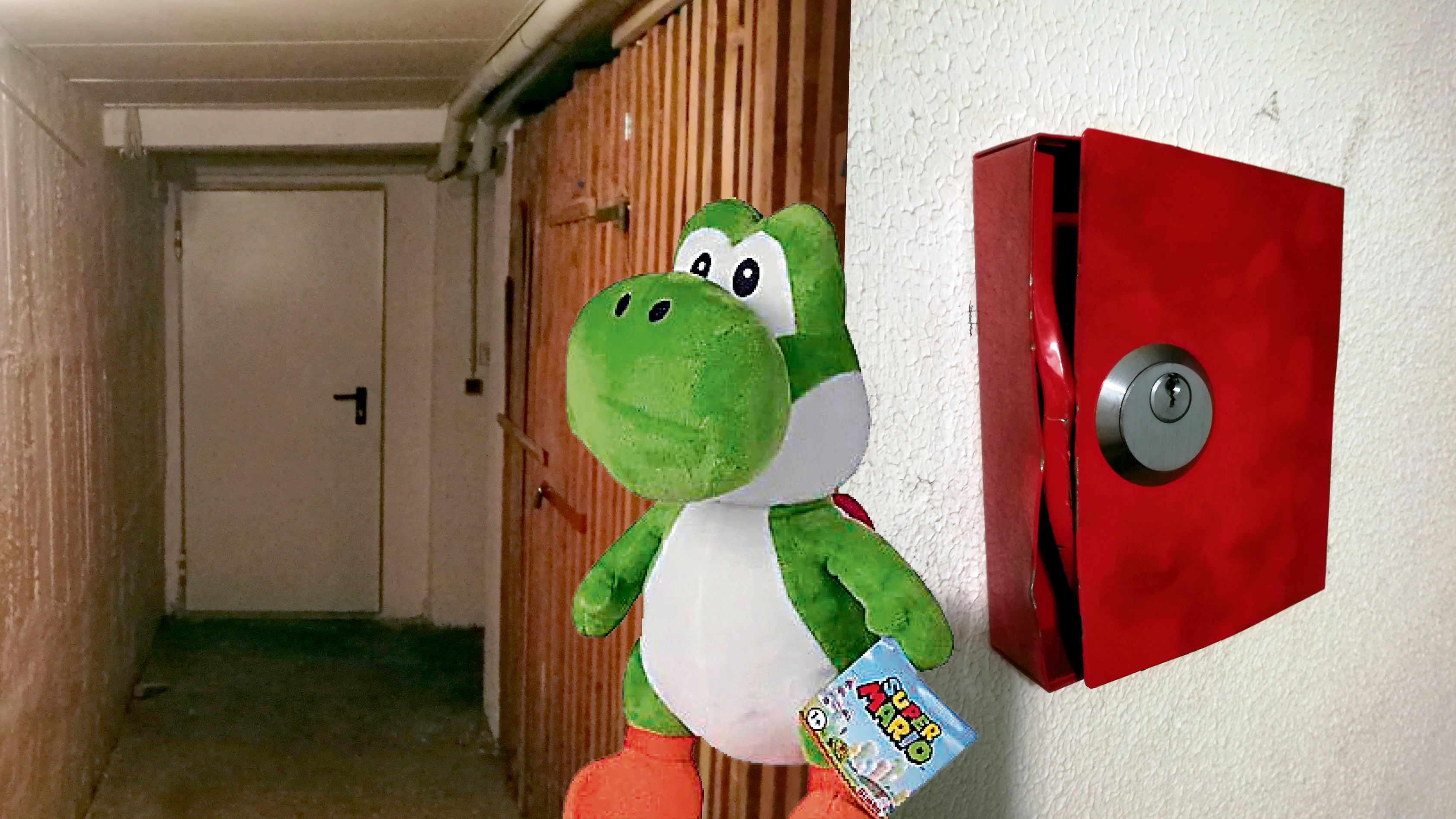 Auch in den Keller eines Linzers wurde eingebrochen. Weihnachtsgeschenke, unter anderem ein Plüsch-Yoshi, wurden gestohlen.