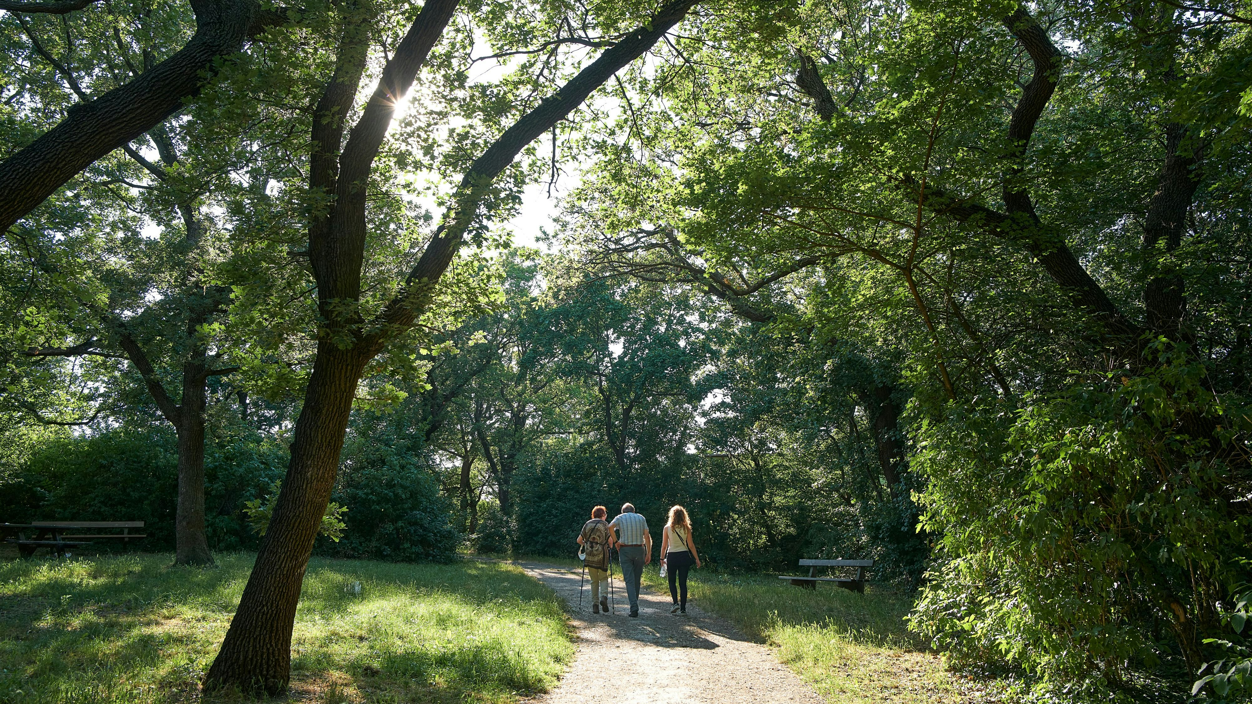 Schauplatz des Krimis: Das Erholungsgebiet Laaer Wald in Wien-Favoriten