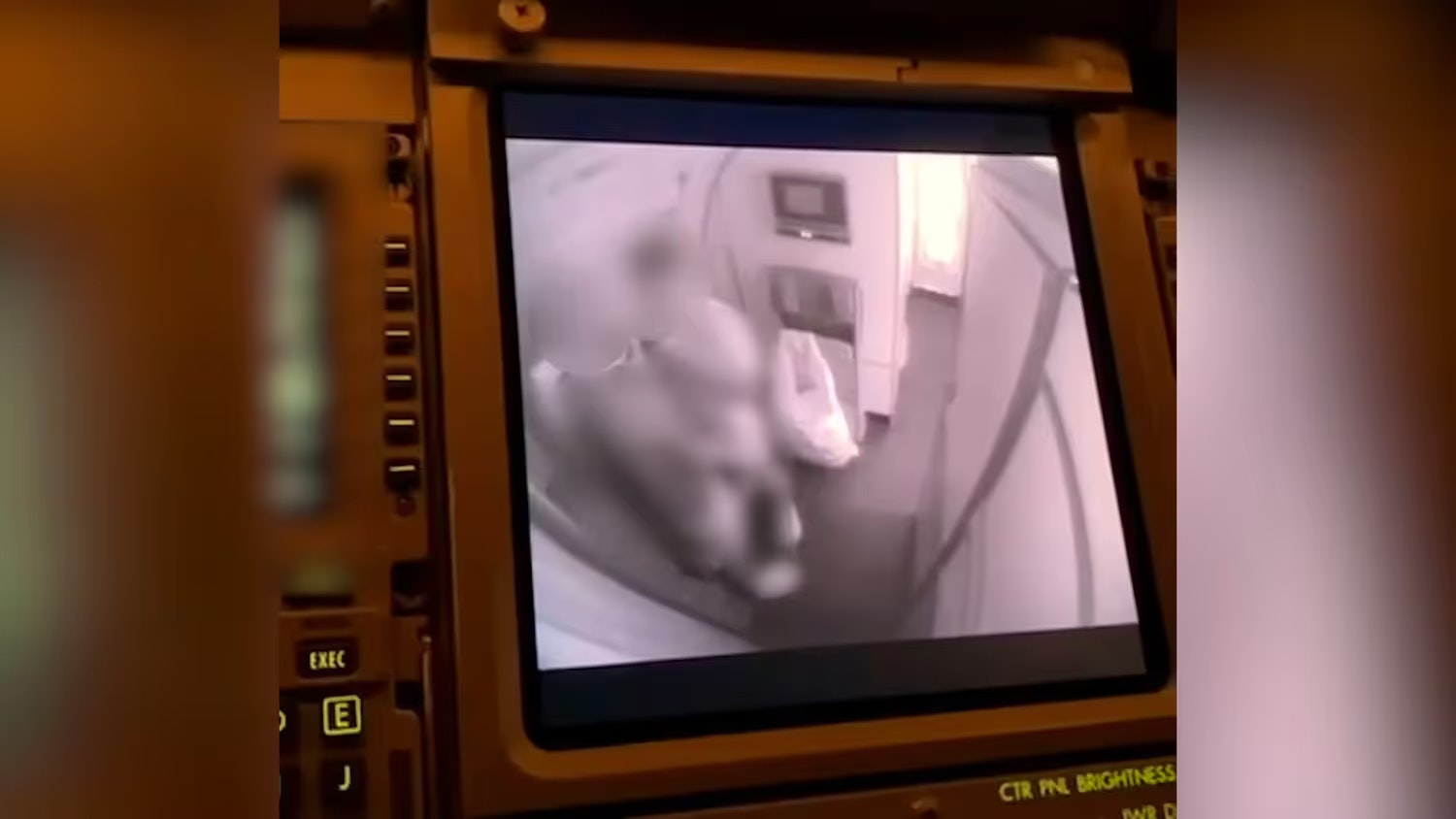 Auf einem Interkontinental-Flug filmte die Crew zwei Passagiere beim Oralverkehr in der Flugzeugküche über einen Monitor im Cockpit.