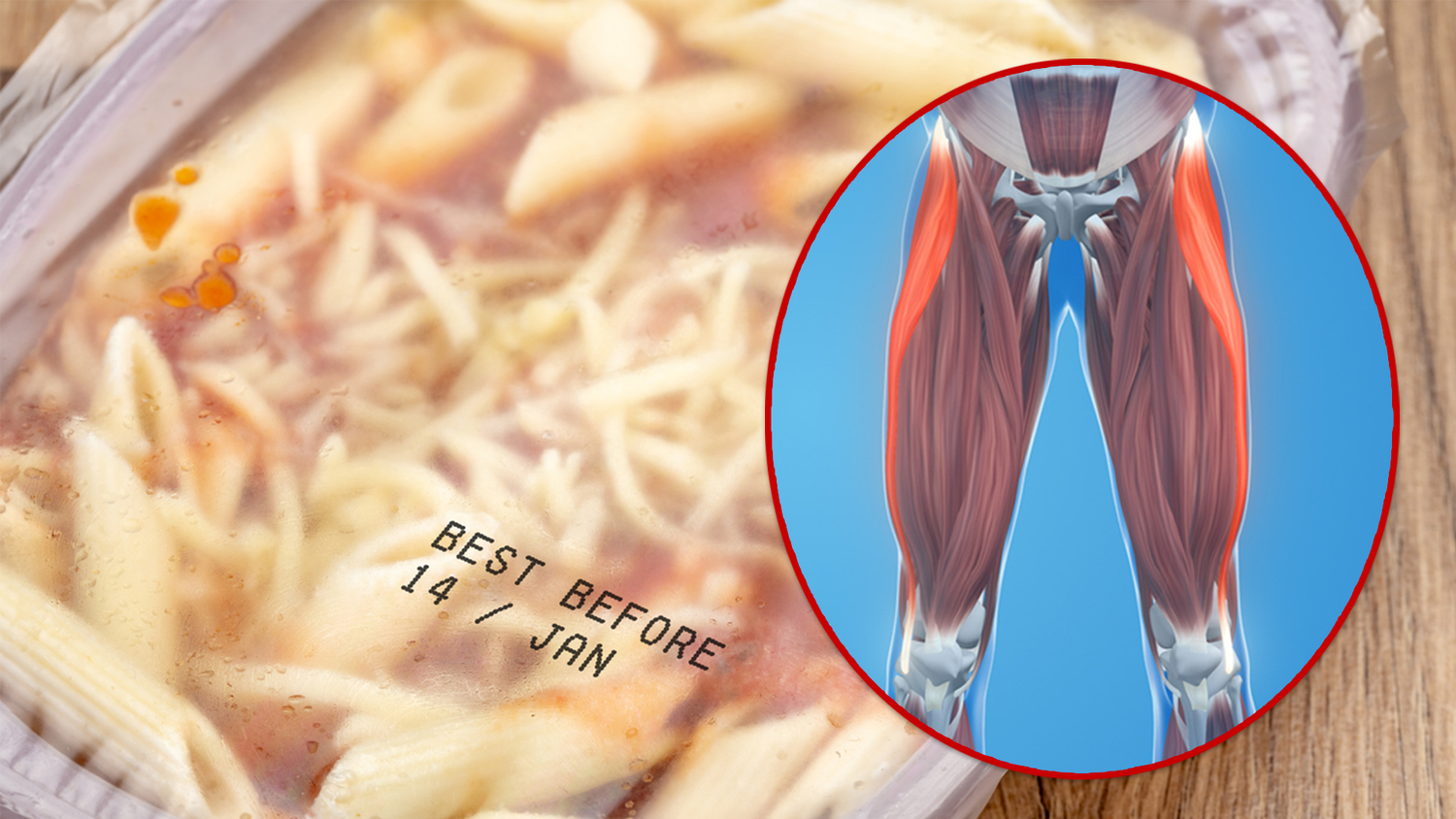 Bei zu viel Fertigessen werden Muskelfasern Schritt für Schritt durch Fett ersetzt.