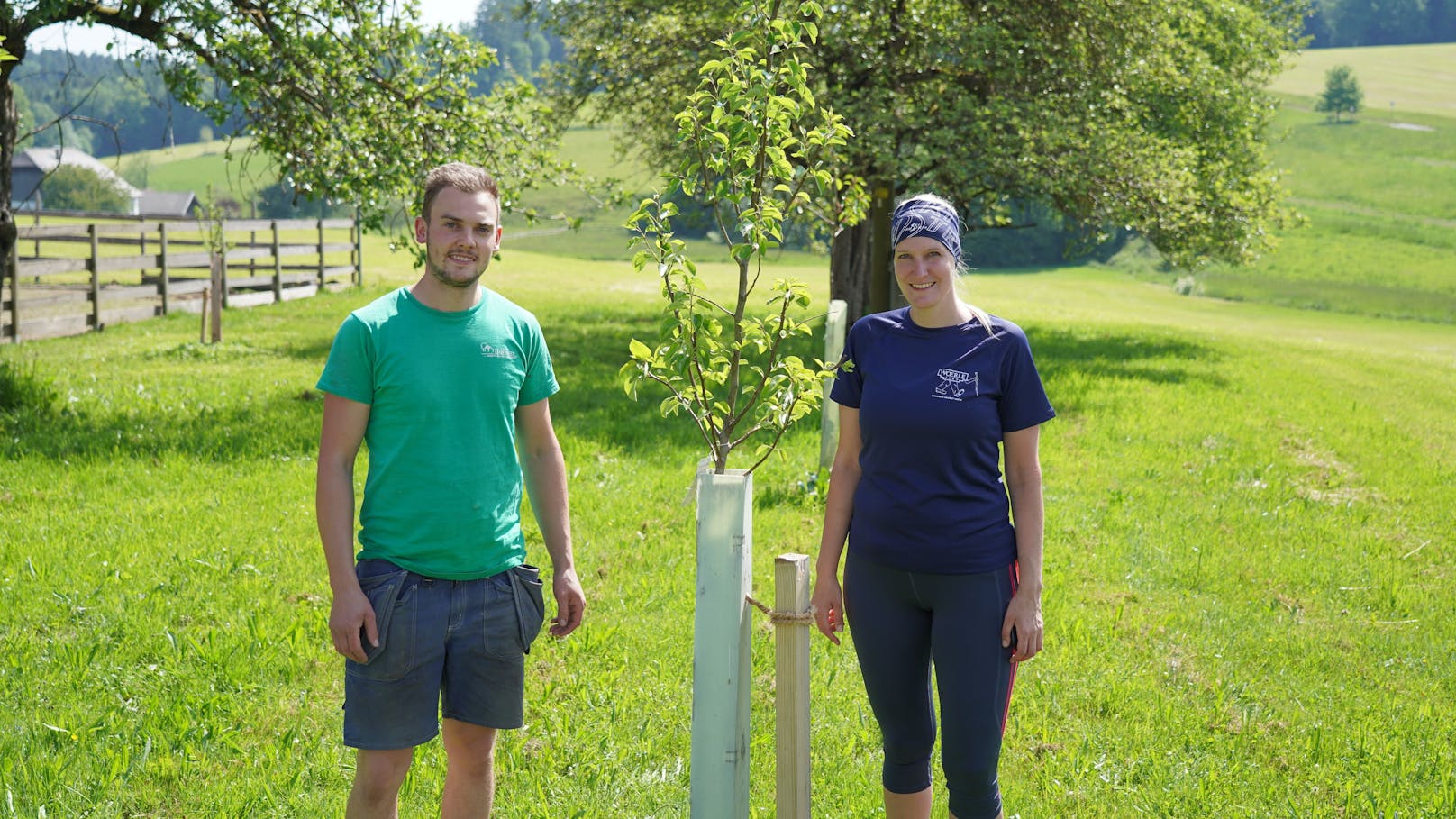 Obstbaumbepflanzung