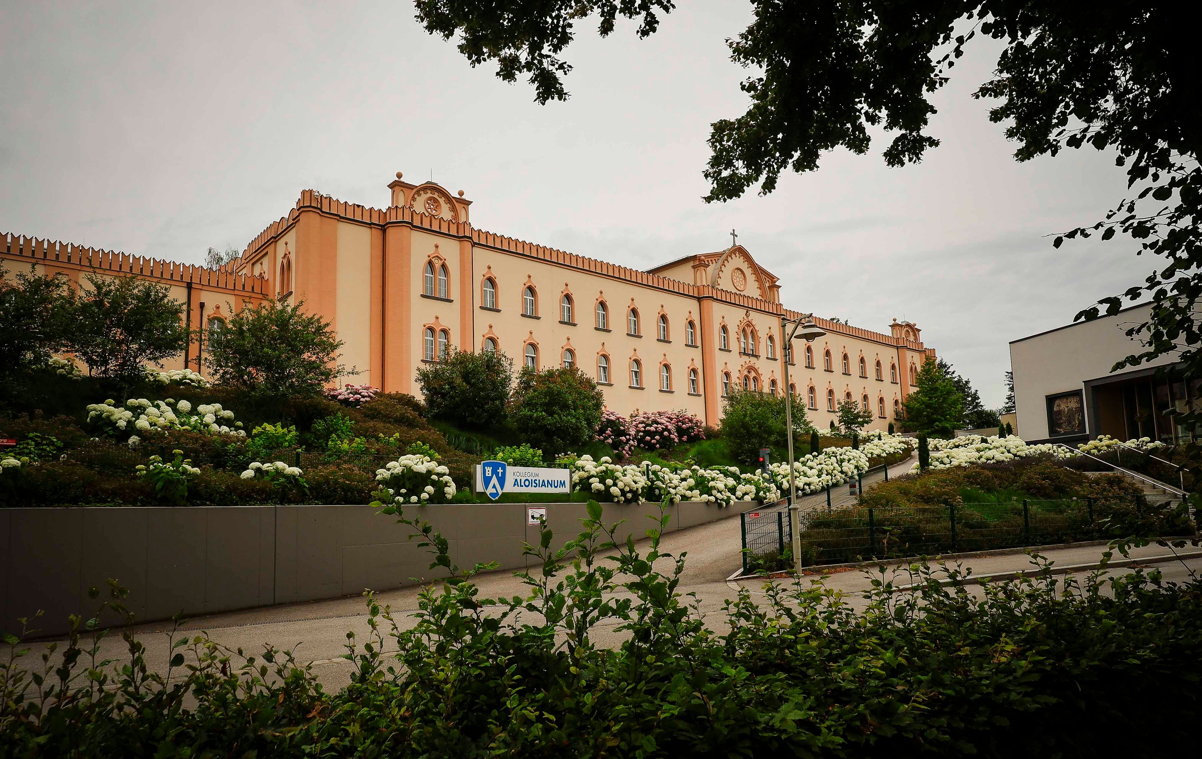 Die Vorwürfe gegen fünf ehemalige Schüler des Linzer Gymnasiums Aloisianum wiegen schwer.