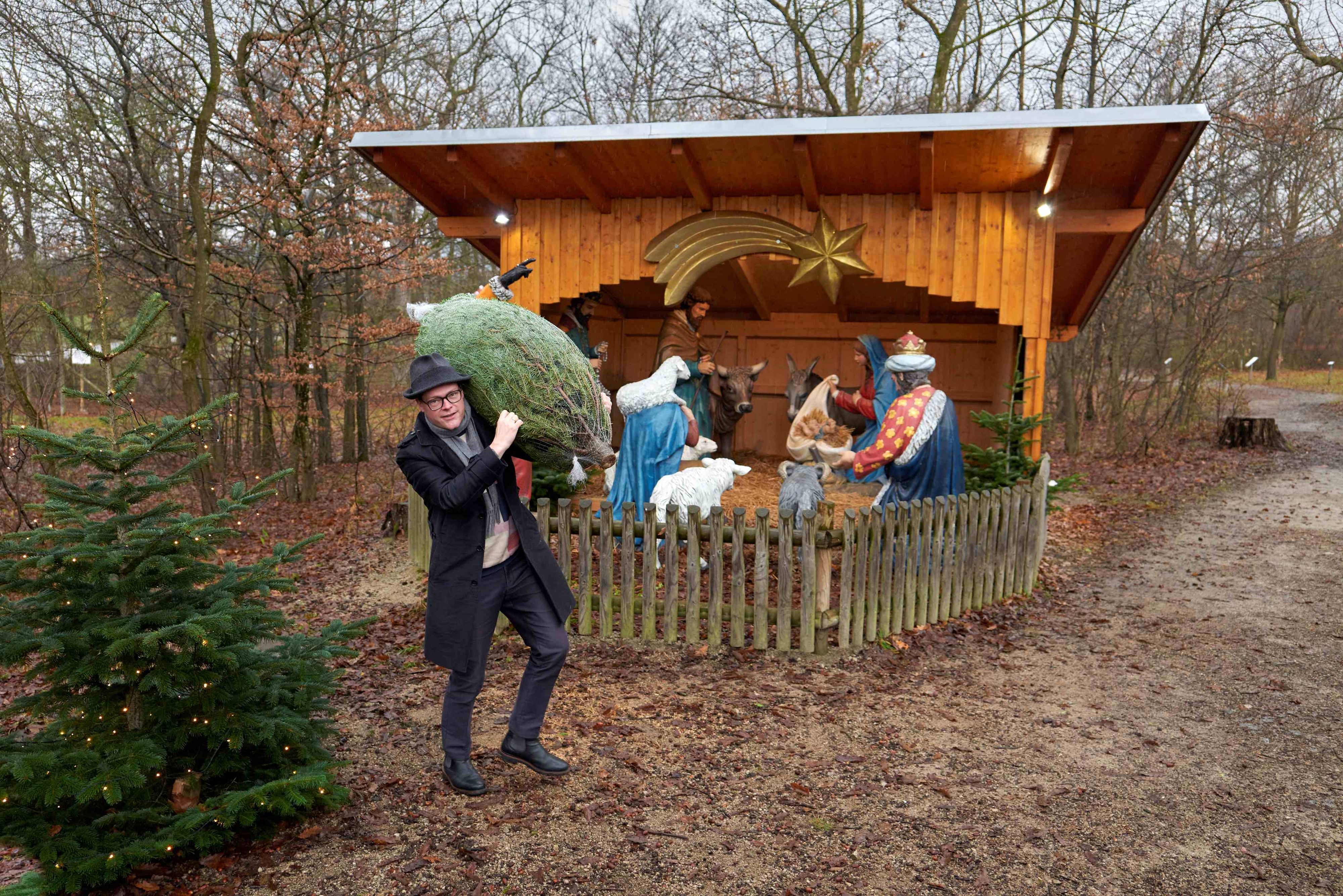 Vorweihnachtliche Stimmung im Lainzer Tiergarten: Die lebensgroße Krippe und frisch geschlagene Christbäume sorgen für festliche Atmosphäre.