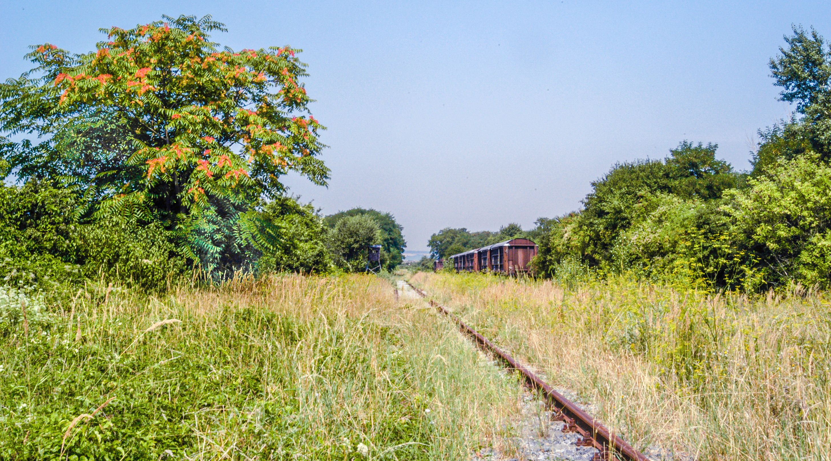 Heute.at - Wiens wertvollstes Naturschutzgebiet wird renaturiert
