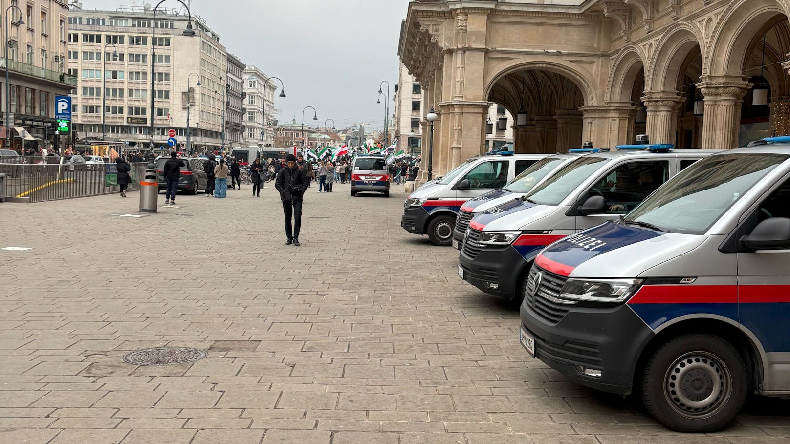 Hunderte Syrer feiern vor der Wiener Staatoper