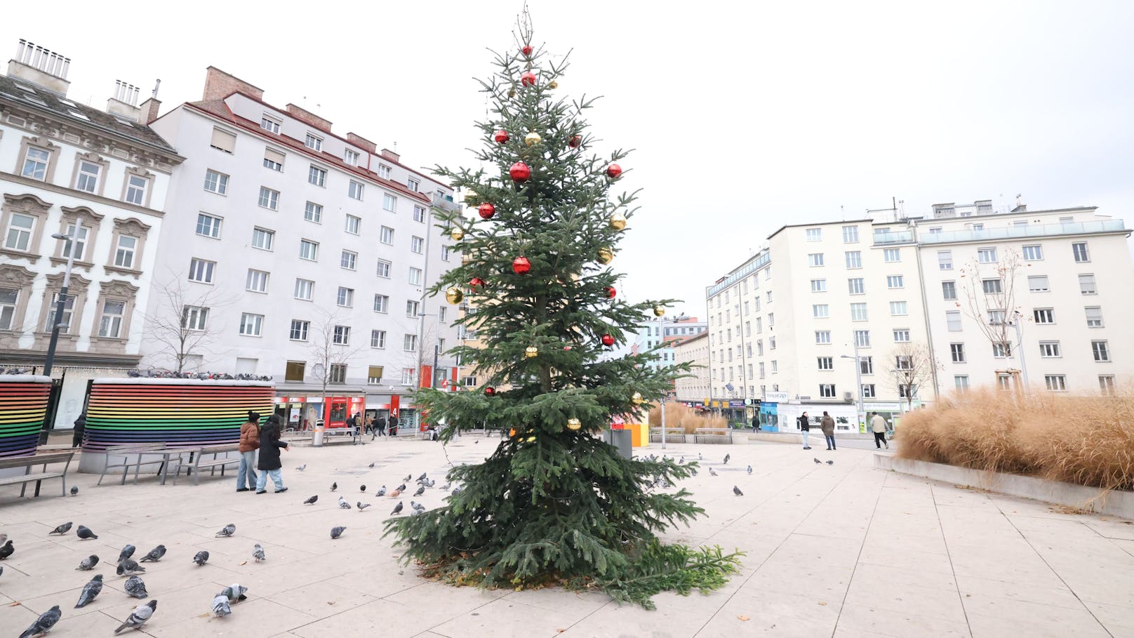 Angeblich wurde der Baum laut SPÖ-Favoriten absichtich so gestaltet.