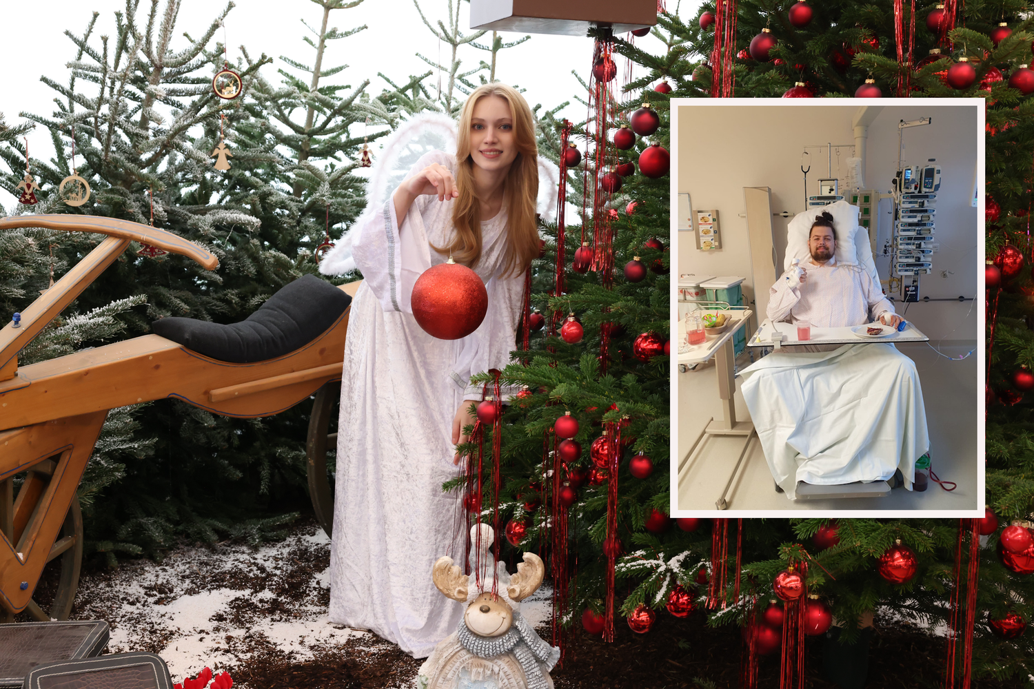 Sebastian wurde Opfer einer Messerattacke. Der Niederösterreicher ist seither auf Therapien angewiesen. Das 