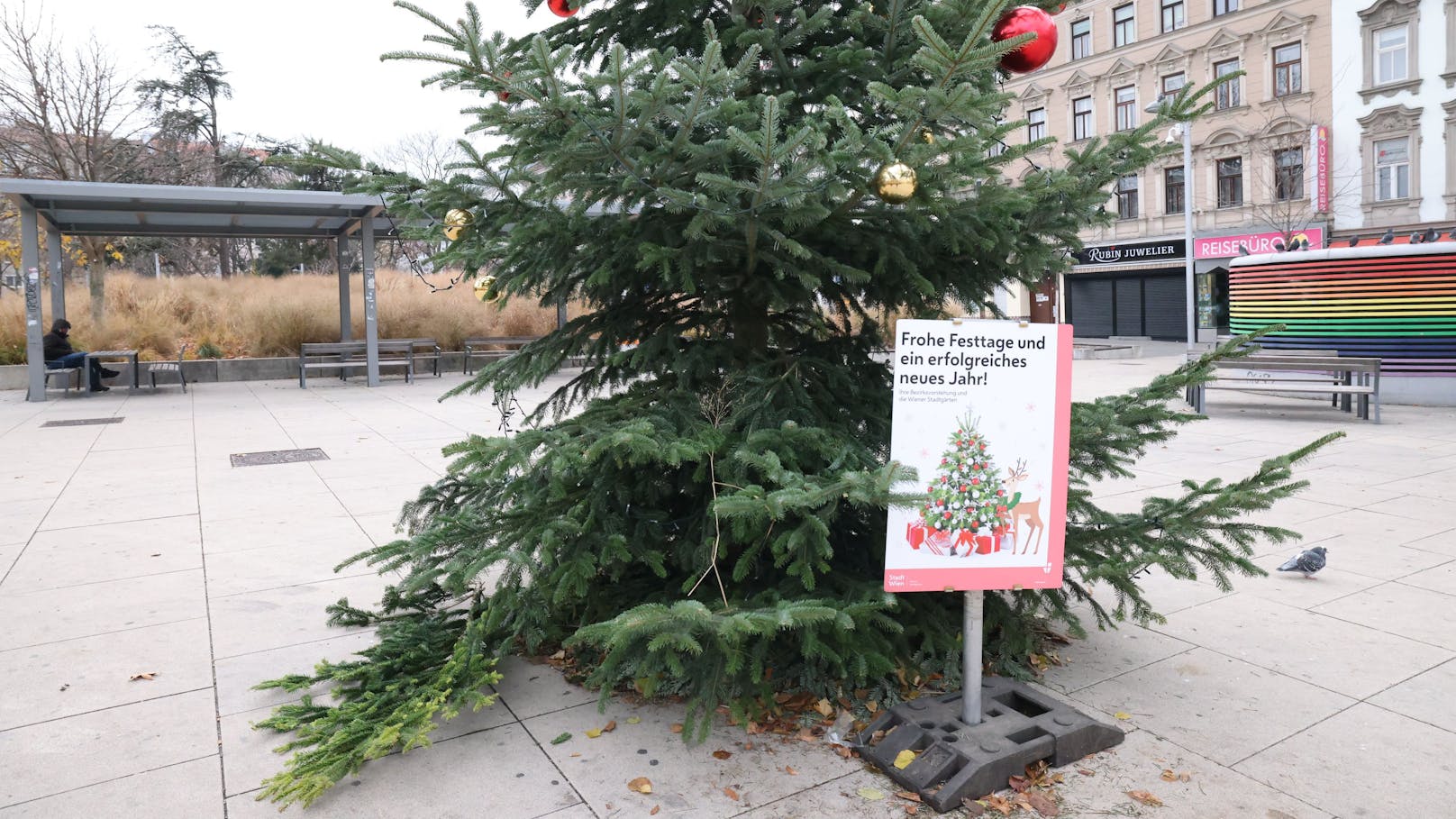 Der Weihnachtsbaum am Hotspot in Favoriten wurde unten leer geräumt.