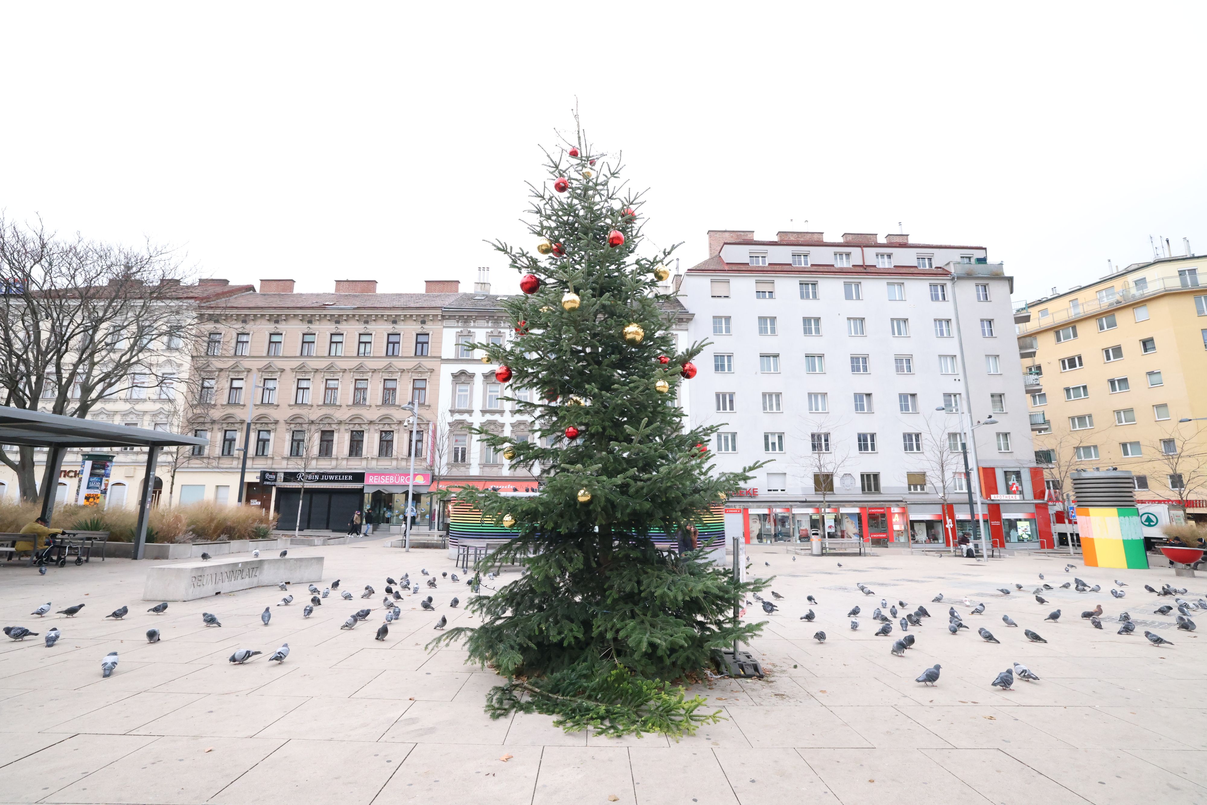 Der etwas andere Christbaum: Unten ohne am Reumannplatz!