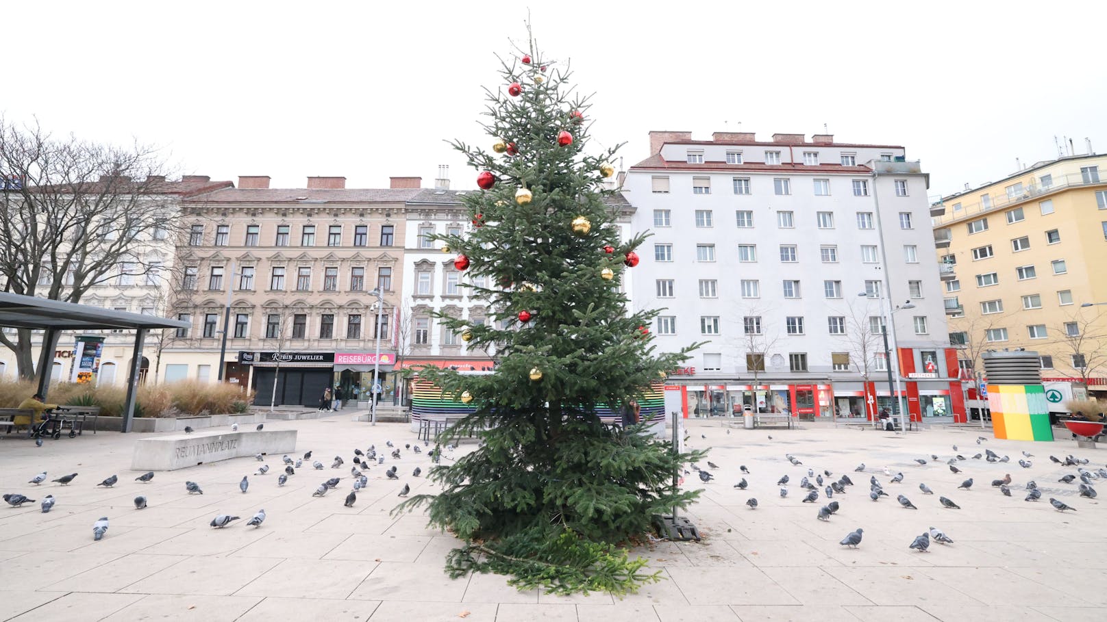 Unten ohne – Christbaum am Reumannplatz fehlen Kugeln!