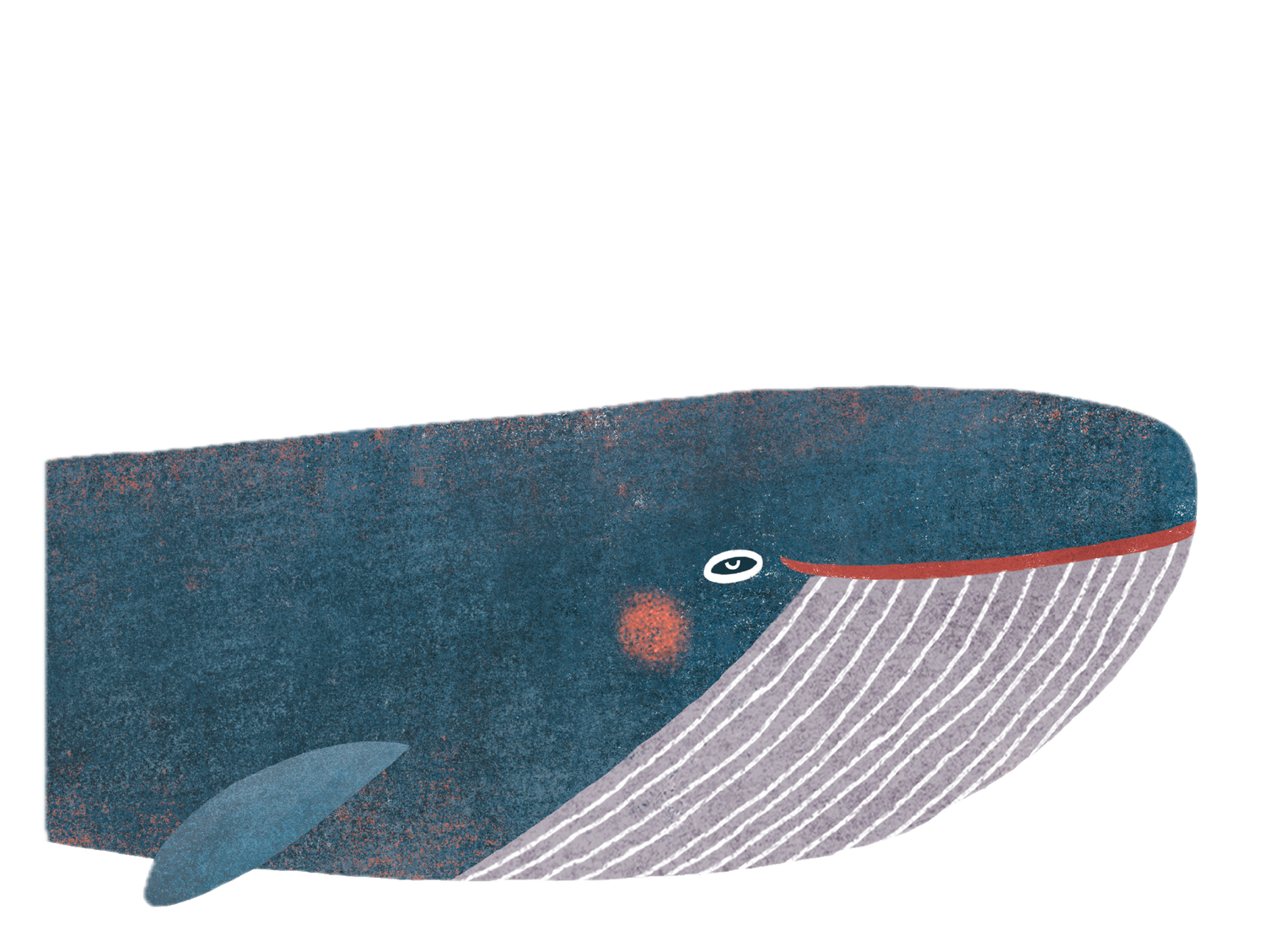 Ein Wal namens Greta: Meeressäuger mit Plastikmüllproblem