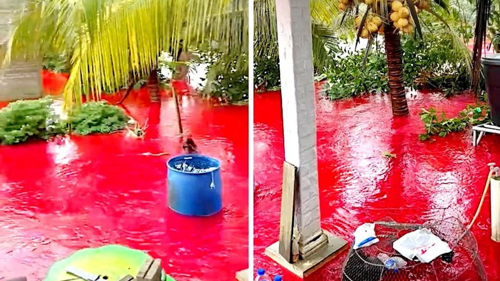 Plötzlich war Hochwasser rot! Blut-Flut schockt Ehepaar