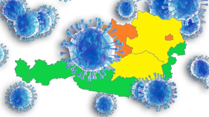 Auf der DINÖ-Karte habe sich die ersten Bundesländer bereits verfärbt: Die Grippewelle kommt auf uns zu.