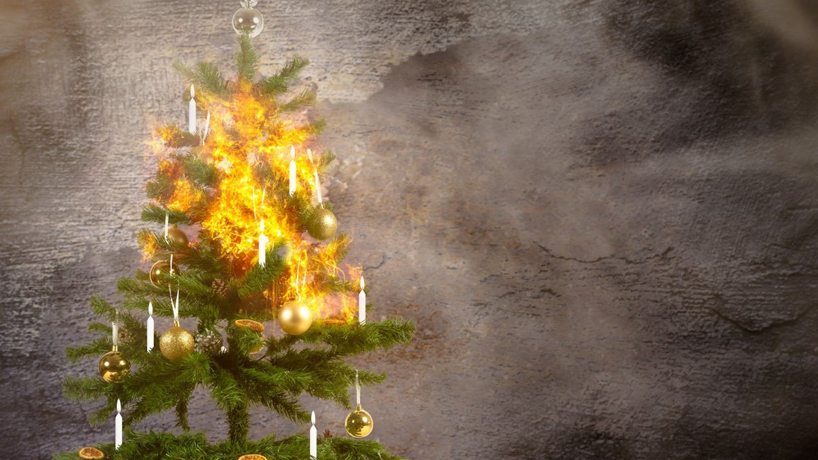 Der Christbaum als Brand-Herd! Das musst du wissen