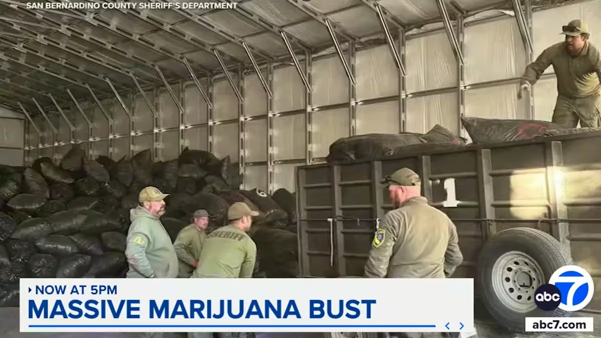 In einer Lagerhalle in Oak Hills stapelten sich Tausende Säcke mit Marihuana.